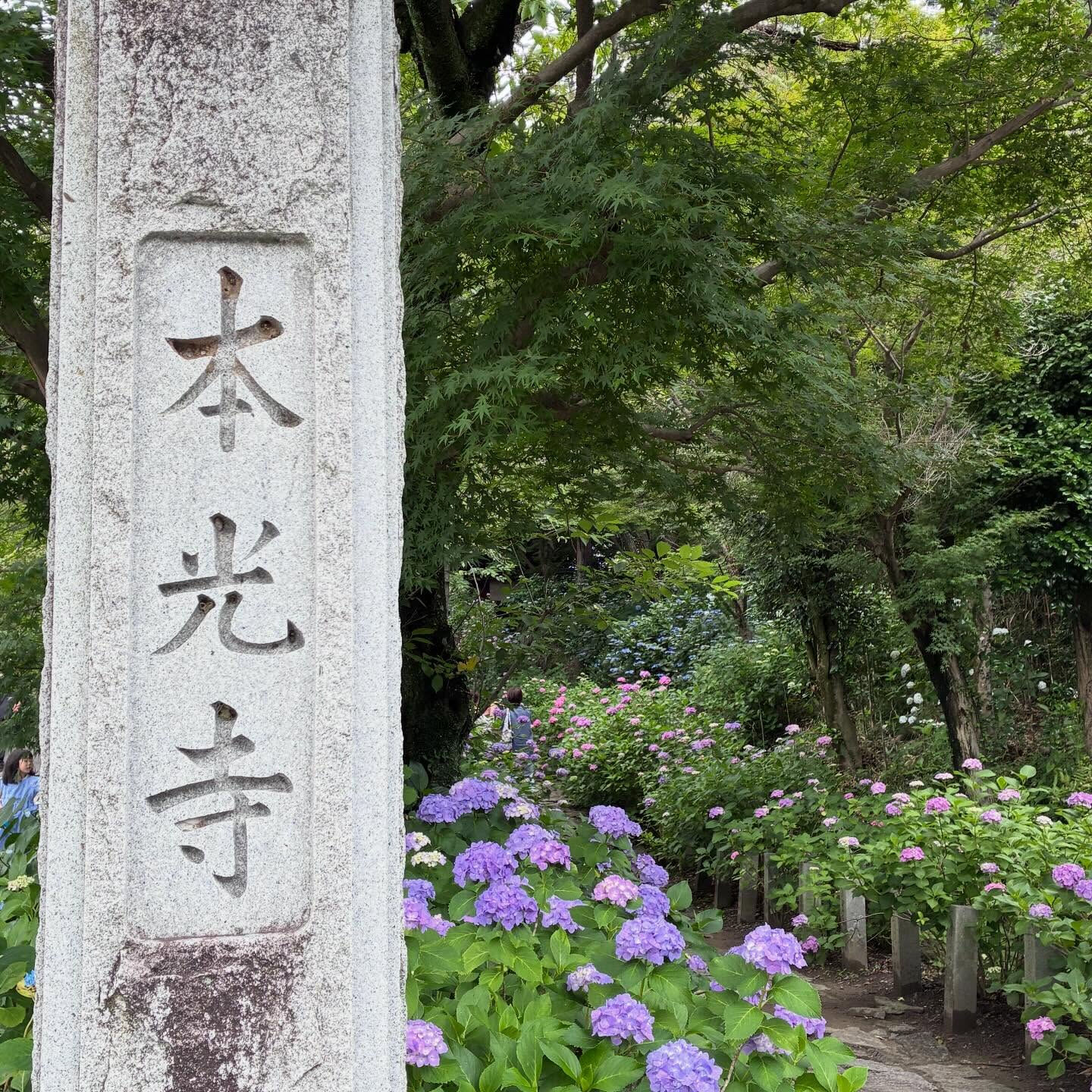 【本光寺】