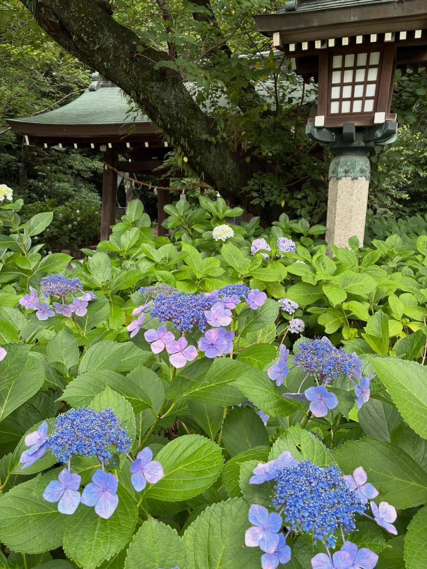 【愛知縣護国神社】