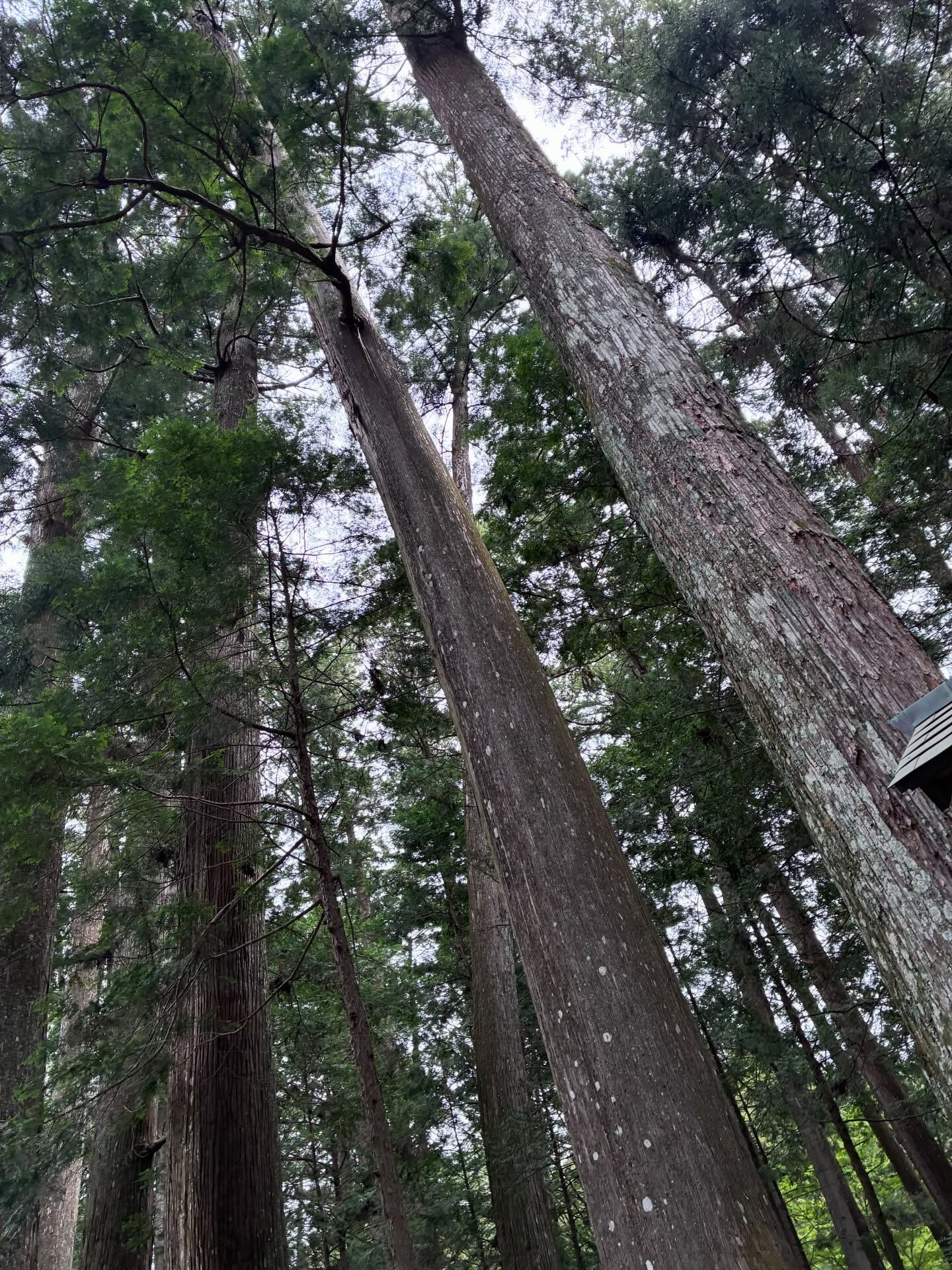 【遠江一宮小國神社】