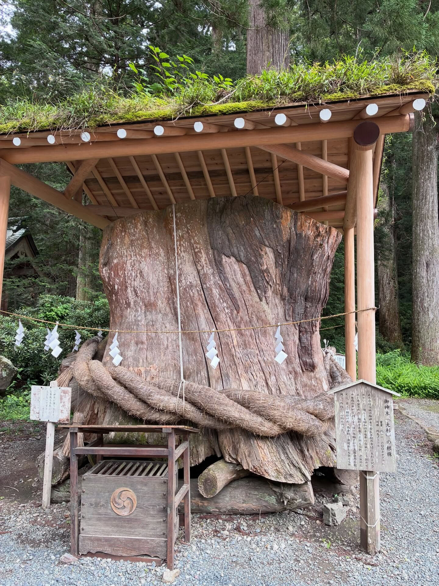 【遠江一宮小國神社】